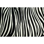FELTRO-COL.-AFRICA-RAFIKI-5950.005