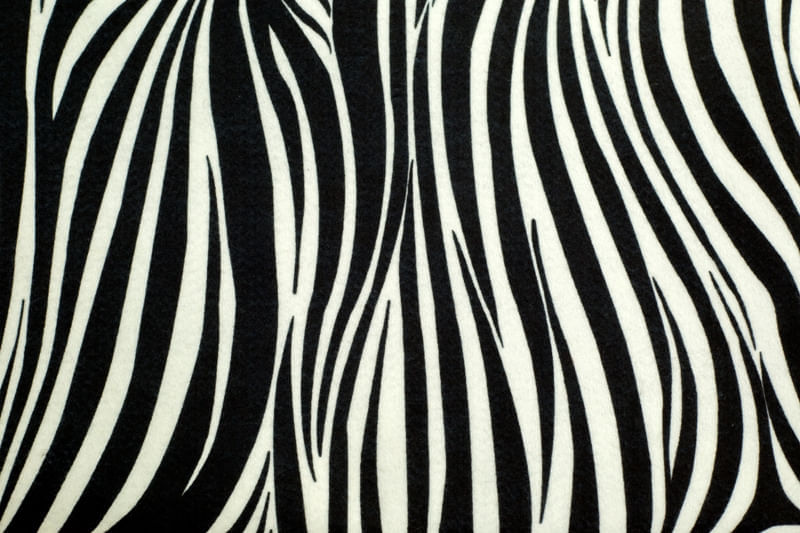 FELTRO-COL.-AFRICA-RAFIKI-5950.005
