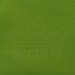 FELTRO-VERDE-MUSGO-CLARO-006