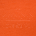 FELTRO-LARANJA-013