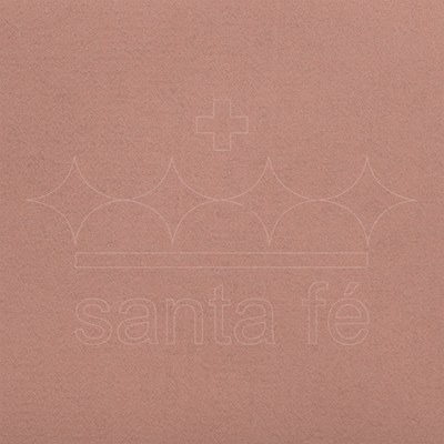 FELTRO-SALMAO-CHILENO-089