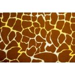 FELTRO-COL.-AFRICA-AMINA-5950.006