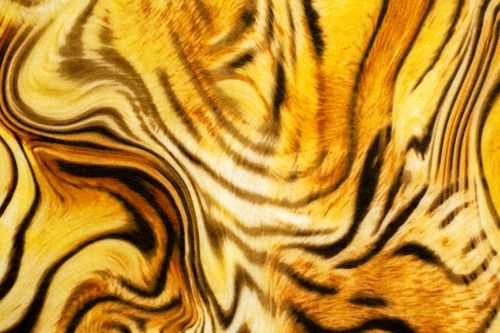 Feltro Estampado Santa Fé Coleção Africa Jabari 25 x 140 cm - Ref. 5950.004