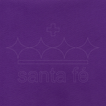 FELTRO-ROXO-071