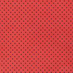 FELTRO-POA-PRETO-C.FDO-VERMELHO-5106.107