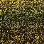 FELTRO-COL.-ALEGRIA-PRETO-ONIX-OURO