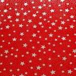 FELTRO-COL.-ALEGRIA-VERMELHO-ESTRELA-MAIA-PRATA