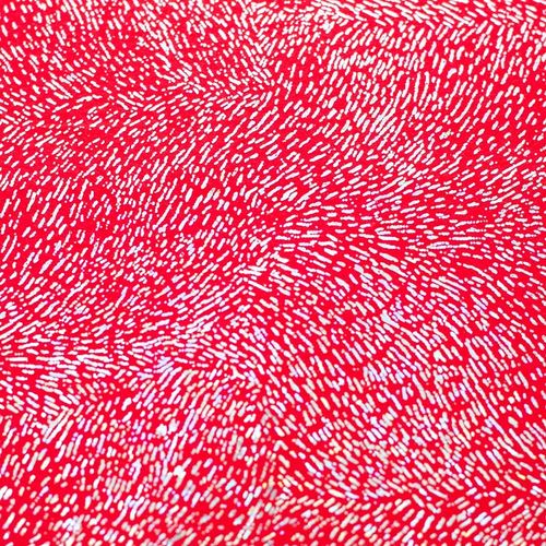 Feltro Estampado Laminado Santa Fé Coleção Alegria Vermelho Chuva de Prata 45 x 45 cm - Ref. 50000030