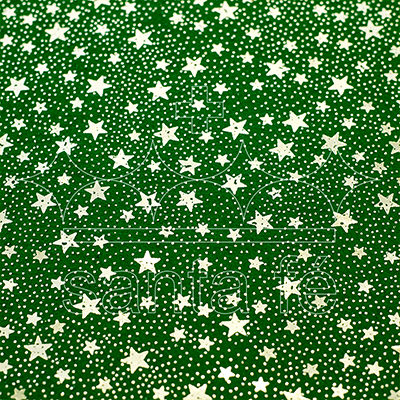 FELTRO-COL.-ALEGRIA-VERDE-ESTRELA-MAIA-PRATA