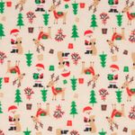 FELTRO-ESTAMPADO-COL.NATAL-2022---PAPAI-NOEL-E-RENAS-D7790-V03--050M-X-070M