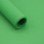 Verde escuro.png