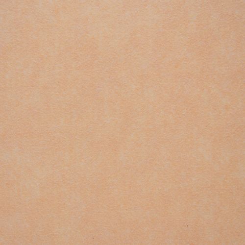 Rolo Carpete Santaflex Resinado Peach Fuzz 2x25m