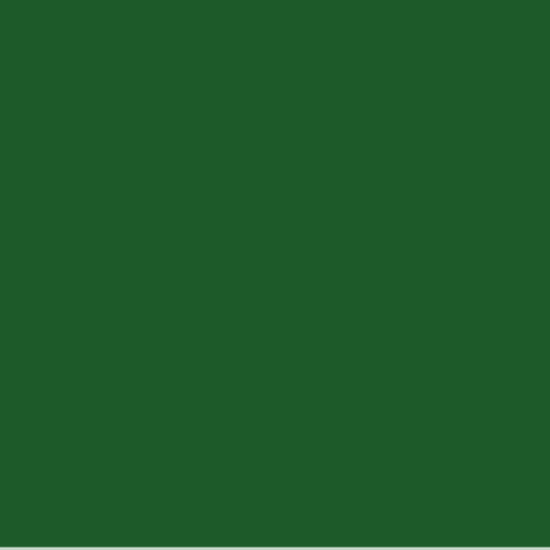Rolo TNT Santa Fé Verde Musgo 05 - 1,40 x 50m